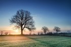 Paysage Mars 2024